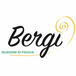 Bergi S.p.a., San Martino di Lupari orari di apertura