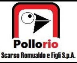 Scarso Romualdo & Figli S.p.a. Ponte San Nicolò, Rio - Orari di apertura