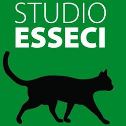 Studio Esseci Di Sergio Campagnolo SAS, Padova orari di apertura