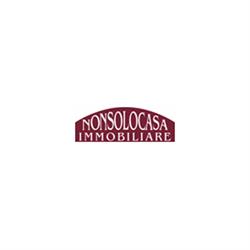 Nonsolocasa S.a.s. di Pizzolato Carlo & C., Vigevano orari di apertura