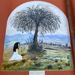 Natura Piu' Di Romani Giovanna, Castel Ritaldi orari di apertura