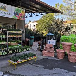 Raspa Leonello, Trevi orari di apertura