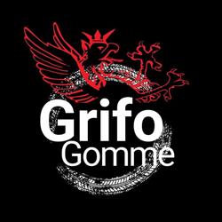 Grifo Gomme sas - Deruta, orari di apertura