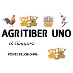 Agritiber Uno, Ponte Felcino orari di apertura