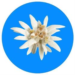 Pensione Edelweiss, Fano orari di apertura