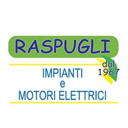 Rame SNC Di Raspugli Dino e Davide, Lunano orari di apertura