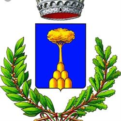 Comune Di Monte Cerignone, orari di apertura