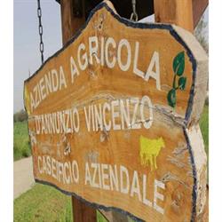 Fattoria D’Annunzio, Penne orari di apertura