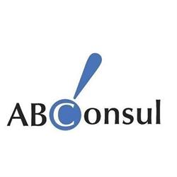 Ab Consul di Claudio Cerri, Piacenza orari di apertura