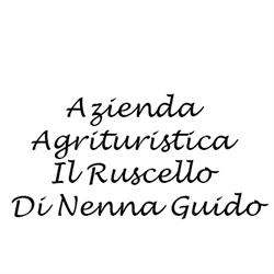 Azienda Agrituristica Il Ruscello Di Nenna Guido, Terricciola orari di apertura