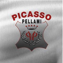Picasso Pellami S.r.l., Santa Croce sull'Arno orari di apertura