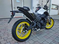 Motori e Ciurli, Montopoli in Val d'Arno orari di apertura