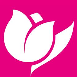 Il Tulipano S.N.C. Di Il Tulipano S.R.L., Cordenons orari di apertura