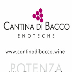 Cantina di Bacco, Potenza orari di apertura