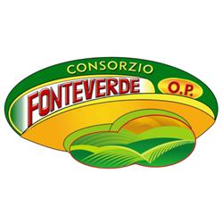 Fonteverde, Ispica orari di apertura
