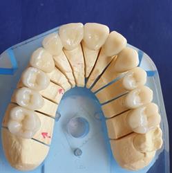 Am Dental Di Monteleone E. & Arfini F. Snc, Reggio Emilia orari di apertura