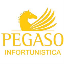 Studio Pegaso Infortunistica, Reggio Emilia orari di apertura