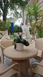 Hotel Esperia SPA, Cattolica orari di apertura