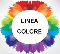 Lineacolore S.r.l., Riccione orari di apertura