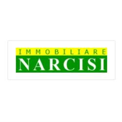 Agenzia Immobiliare Narcisi, Anzio orari di apertura