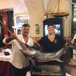 Il Cavaliere Ristorante Pizzeria, San Polo dei Cavalieri orari di apertura