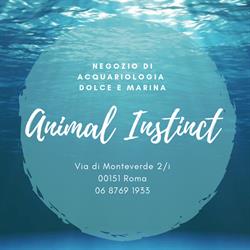 Animal Instinct, Roma orari di apertura