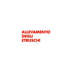 Pensione Cani e Allevamento "Allevamento degli Etruschi", Castelnuovo di Porto orari di apertura