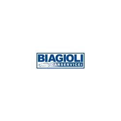 Biagioli Carservice, Roma orari di apertura
