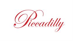 New Piccadilly S.r.l., Ladispoli orari di apertura