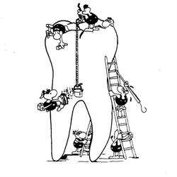 Studio Dentistico Associato Dott. A.guida Dott.m.pasquali, Santa Marinella orari di apertura