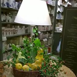 Il Campo Di Grano Roma, Vitinia - Orari di apertura