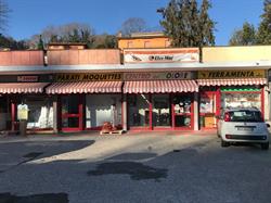 Centro Del Colore Di Carmelo e Alessandro Darida SAS, Sacrofano orari di apertura