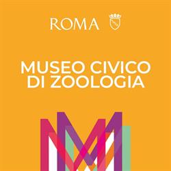 Museo Civico Di Zoologia, Roma orari di apertura