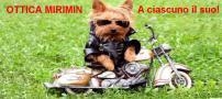 Mirimin Foto Ottica Roma, Monti - Orari di apertura