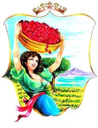 Regina Del Pomodoro SRL, Sant'Egidio del Monte Albino orari di apertura