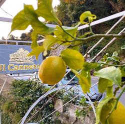 Il Canneto Di Rianna Pantaleone & F.lli Sas, Positano orari di apertura