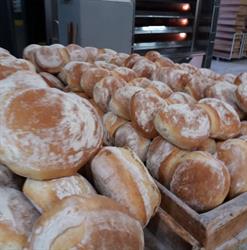 Panificio Altieri Srl Aniello, Sarno orari di apertura