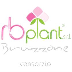 RB Plant, Albenga orari di apertura