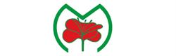 Floricoltura Vivai Michelini Top Garden di Michelini Davide, Borghetto Santo Spirito orari di apertura