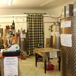 La Bottega del Vino, Siena orari di apertura
