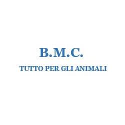 B.M.C. S.r.l., Colle di Val d'Elsa orari di apertura