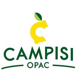 O.p.a.c. Organizzazione Di Produttori Antonino Campisi Societa' Cooper, Siracusa orari di apertura