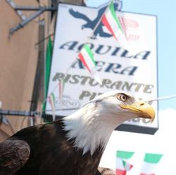 Aquila Nera Ristorante, Ivrea orari di apertura