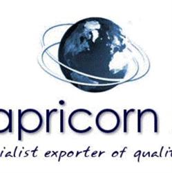 Capricorn S.r.l., Borgaro Torinese orari di apertura