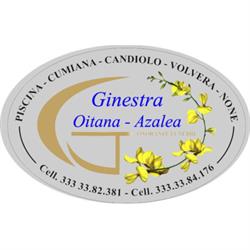 Onoranze e Trasporti Funebri La Ginestra, Piscina orari di apertura