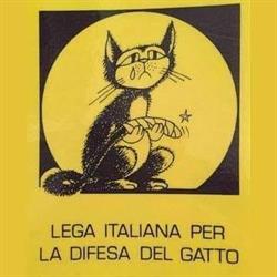 Lega Italiana per la Difesa del Gatto ODV, Torino orari di apertura