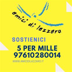 Associazione Amici Di Lazzaro, Torino orari di apertura