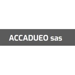 Accadueo Sas, San Mauro Torinese orari di apertura