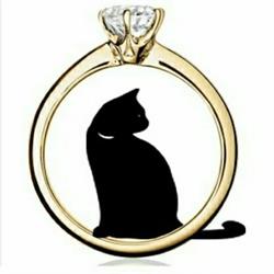 Il Gatto Nero Arte Gioielli, Torino orari di apertura