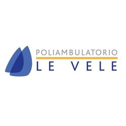 Poliambulatorio Le Vele Srl, Torino orari di apertura